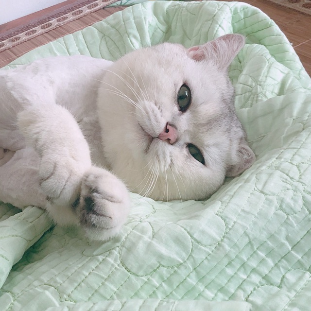 phamngocbich94, Cửa hàng trực tuyến | BigBuy360 - bigbuy360.vn