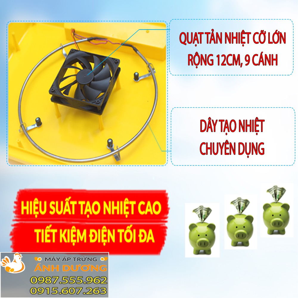 [Hàng Chính Hãng] - Máy ấp trứng Ánh Dương A100 - Ấp tự động 54 trứng - Tặng kém thuốc úm gà+ bình châm nước