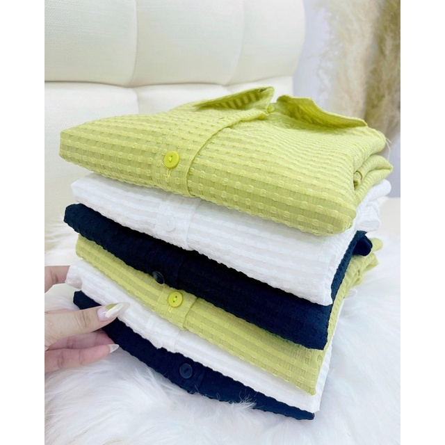 [ CHUBBY BIGSIZE ] SƠ MI Ô NỖI FORM RỘNG BIGSIZE