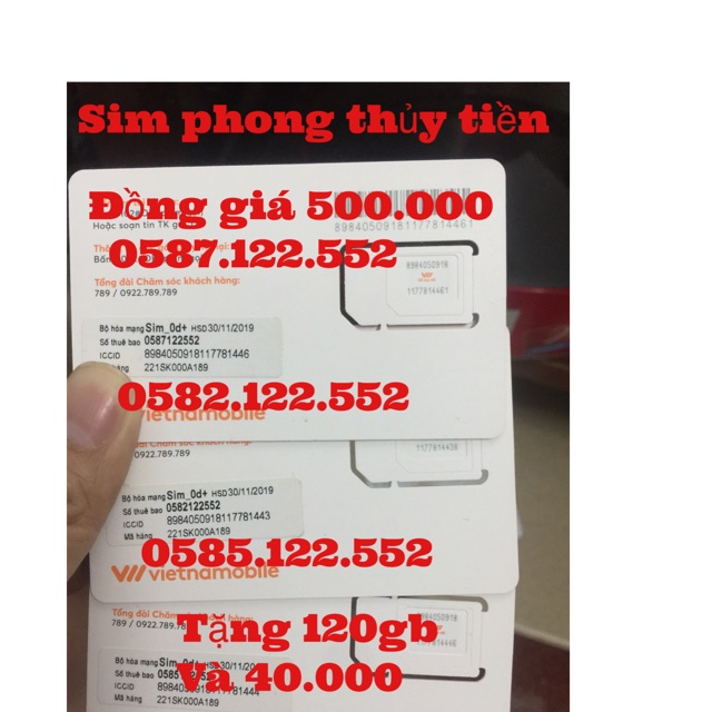 Sim phong thủy tiền tài