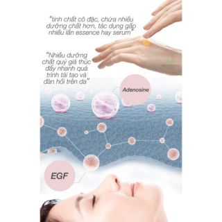 Serum tế bào gốc Eldas EG Tox Program Coreana mini 4 ống