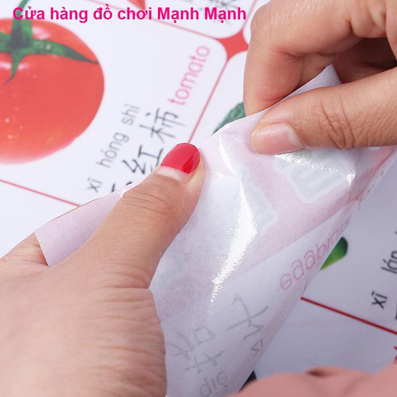 Chương trình Pinyin Wall, âm thanh khai hóa trẻ em nền giáo dục đầu tiên phát giảng văn bản, bảng chữ cái đọc nhã