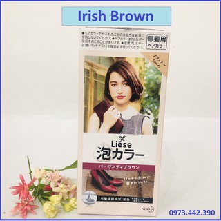 [SALE DỌN KHO] BỌT NHUỘM TÓC NỮ LIESE 108ML NHẬT BẢN