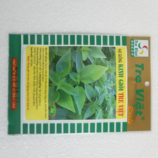 Hạt giống kinh giới 2gram