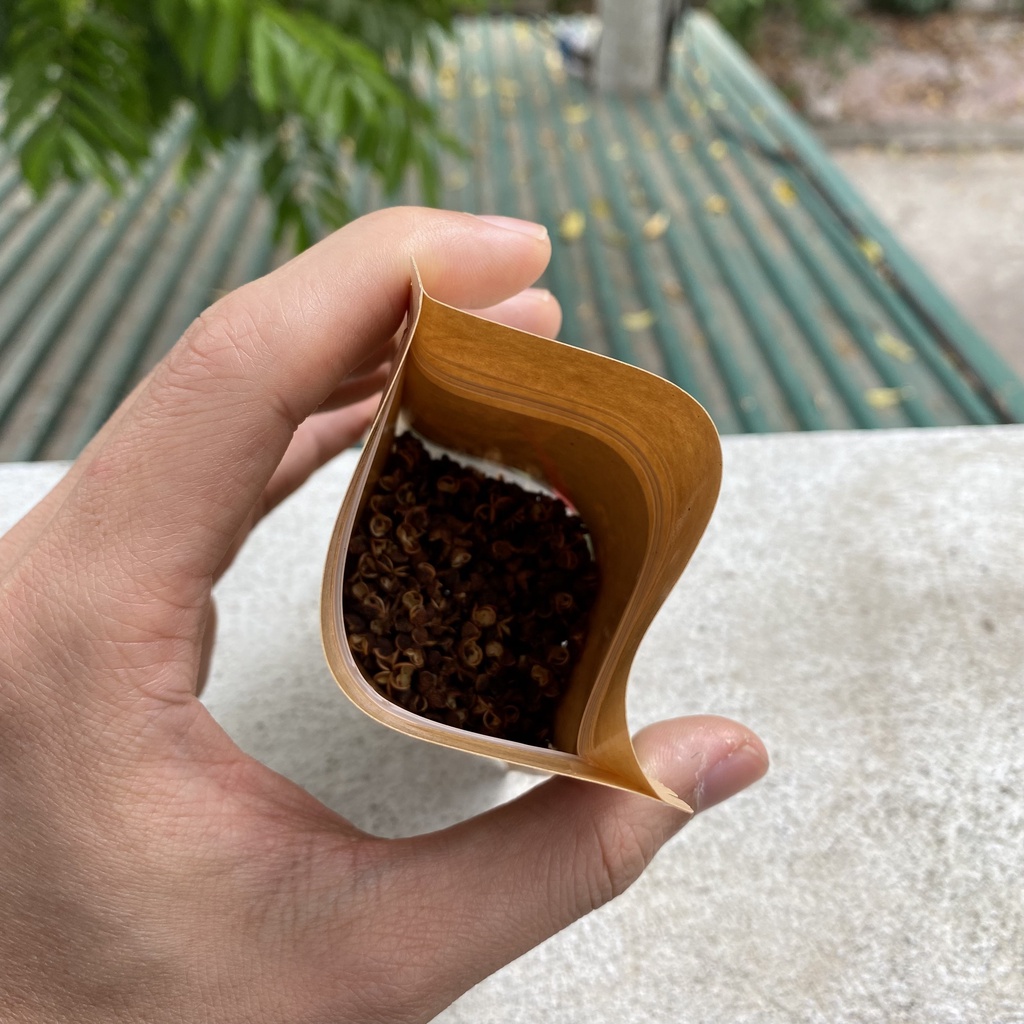 Hạt Mắc Khén Doispice chuẩn loại 1 cực thơm