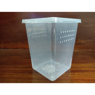 Hộp nuôi nhện bò cạp rết côn trùng bò sát nhỏ