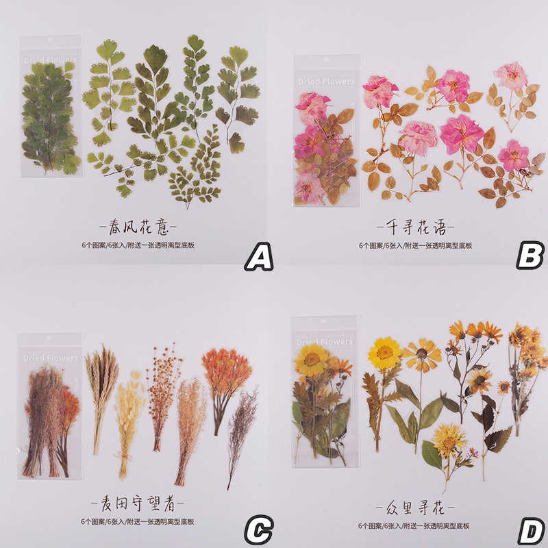Set 6 hình dán hoa làm từ PET không thấm nước phong cách Retro nhiều màu sắc trang trí tạp chí thủ công DIY