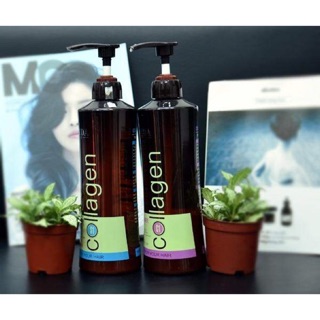 Cặp dầu gội xả Haneda Collagen 785ml
