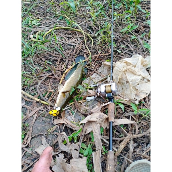 Nhái Hơi F69 Sét Chấm Bi