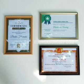 Sỉ 10 Khung A4  21x30 Mặt Mika