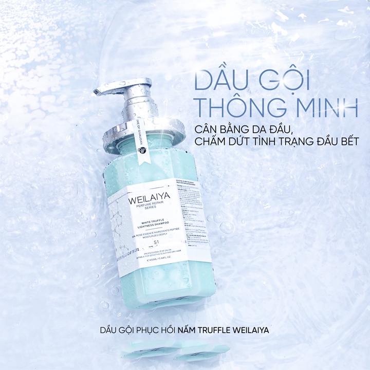Dầu gội Weilaiya nấm Truffle, Dầu gội phục hồi Weilaiya Mit Beauty tóc suôn mượt sạch gàu sạch dầu hương thơm sang trọng