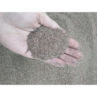 Combo 2kg Bột Củ Gấu (Hương Phụ)