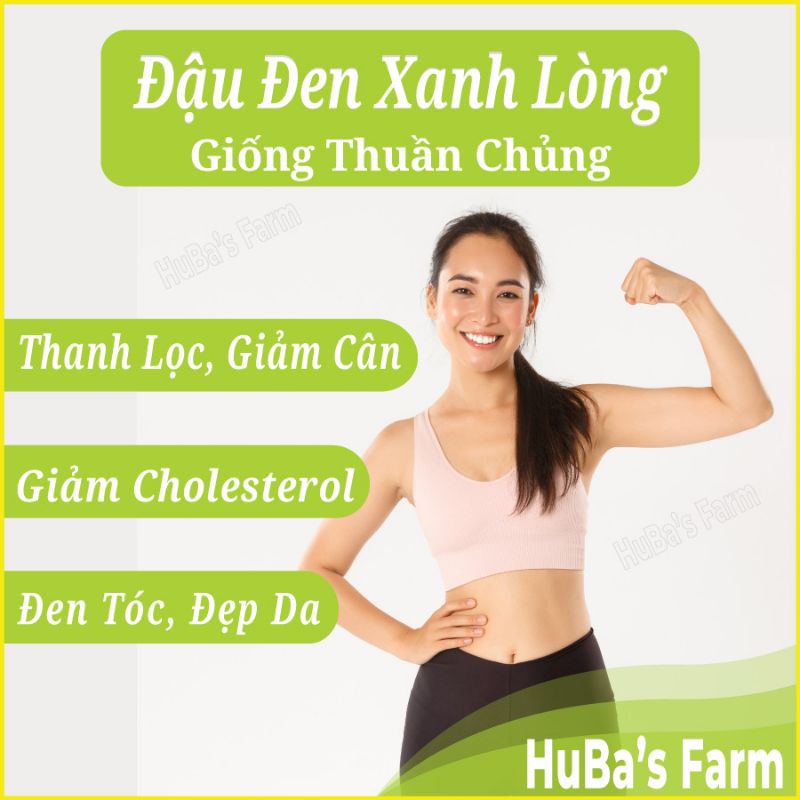 Đậu đen xanh lòng giống thuần chủng, đậu đen sạch, trồng vùng đất dinh dưỡng cao