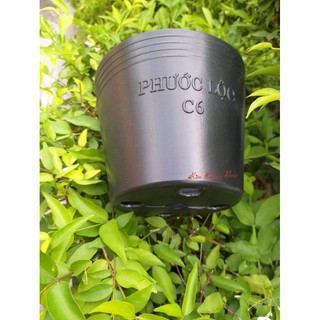 Chậu nhựa đen C6