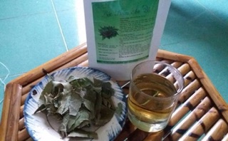Trà lá Neem Ấn Độ