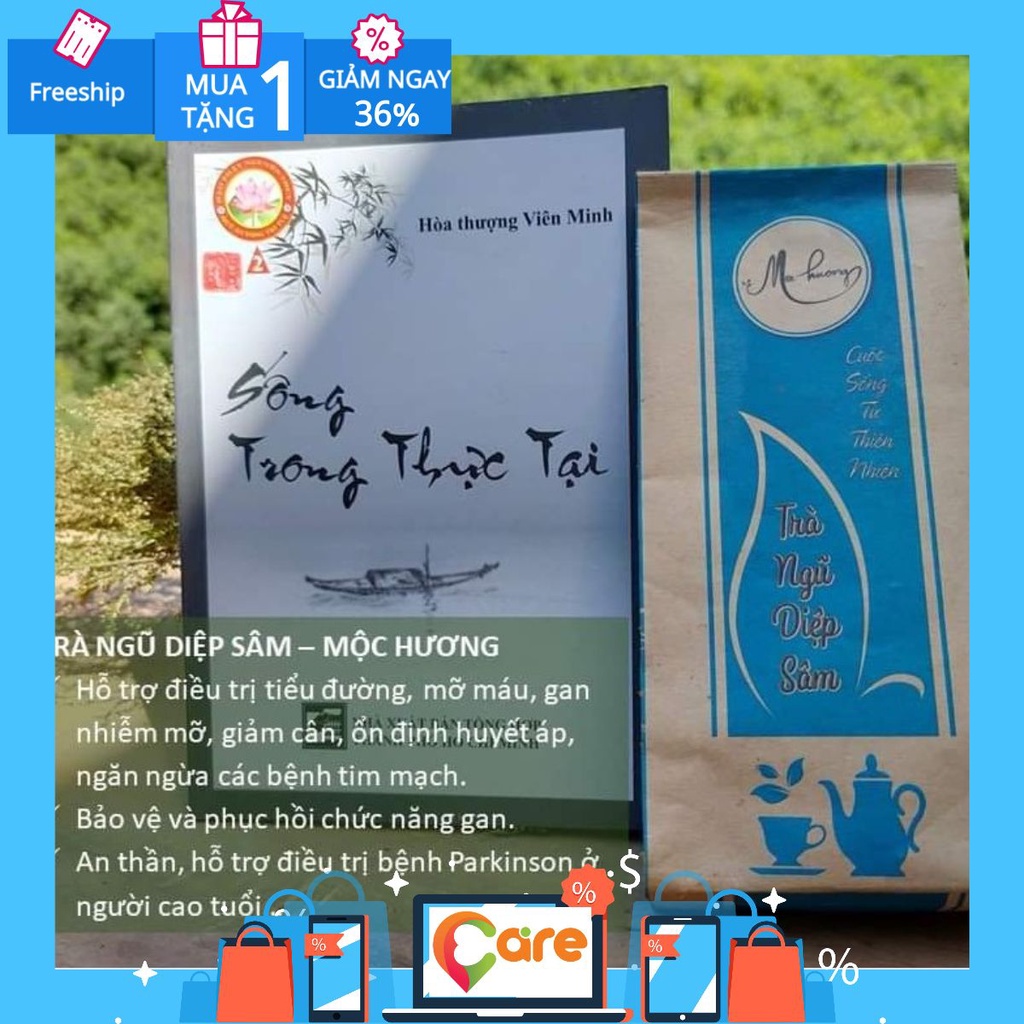 Trà Ngũ Diệp Sâm [chính hãng]