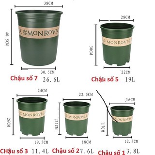 Chậu monrovia số 1