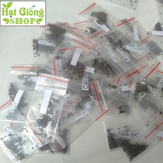 Hạt giống cải thìa ( túi 100 hạt )