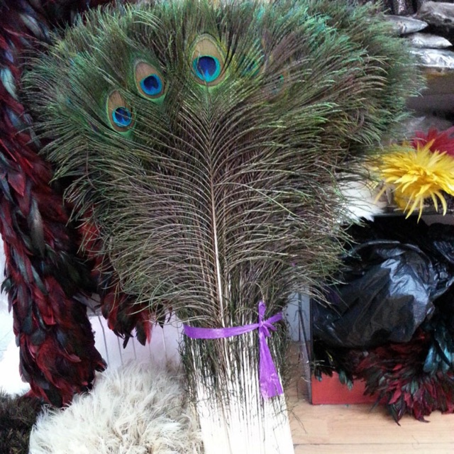 [ SLL từ 1000c / Giá 5,9k ] Dài 90-10cm(Mắt To 4-6cm) LÔNG CÔNG THẬT 100% PHONG THUỶ TÀI LỘC