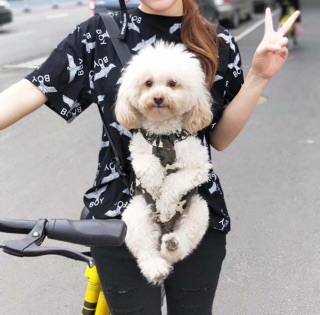 ĐỊU DÀNH CHO CHÓ MÈO