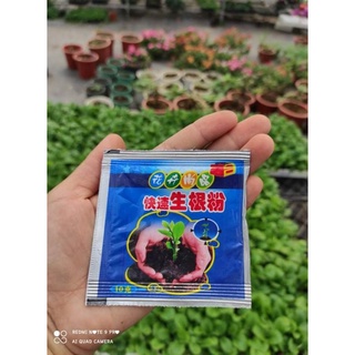1 gói kích rễ giúp cây phát triển mạnh