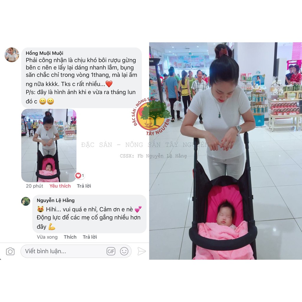 [Mã 2712FMCGSALE giảm 8% đơn 500K] GỪNG NGHỆ HẠT GẤC HẠ THỔ (TOÀN THÂN) | BigBuy360 - bigbuy360.vn