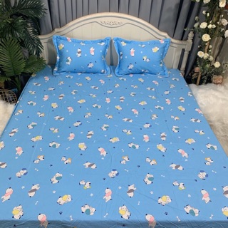 Ga gối cotton Trần chun
