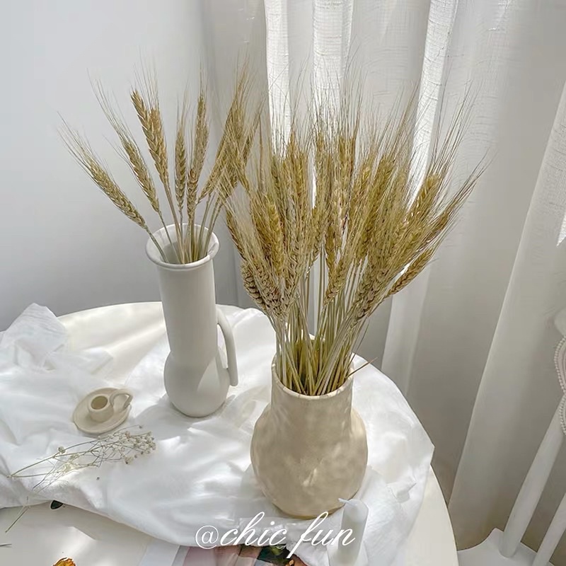 Combo 50-100 cành hoa lúa khô lúa mạch trang trí nhà cửa phong cách retro cổ điển, trang trí phòng khách bàn học cựcxinh