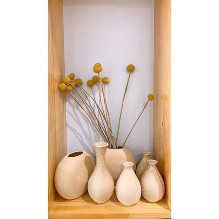 Hoa khô cắm trang trí gia đình,làm phụ kiện chụp ảnh sản phẩm