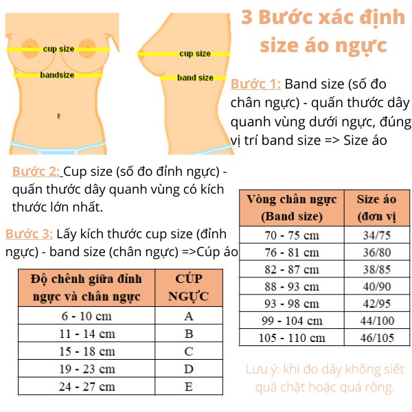 Áo ngực nữ đệm mỏng, quả to kéo ngực xệ, áo lót nội y gọng Thái Lan Sister hood 2031, Leblur | WebRaoVat - webraovat.net.vn
