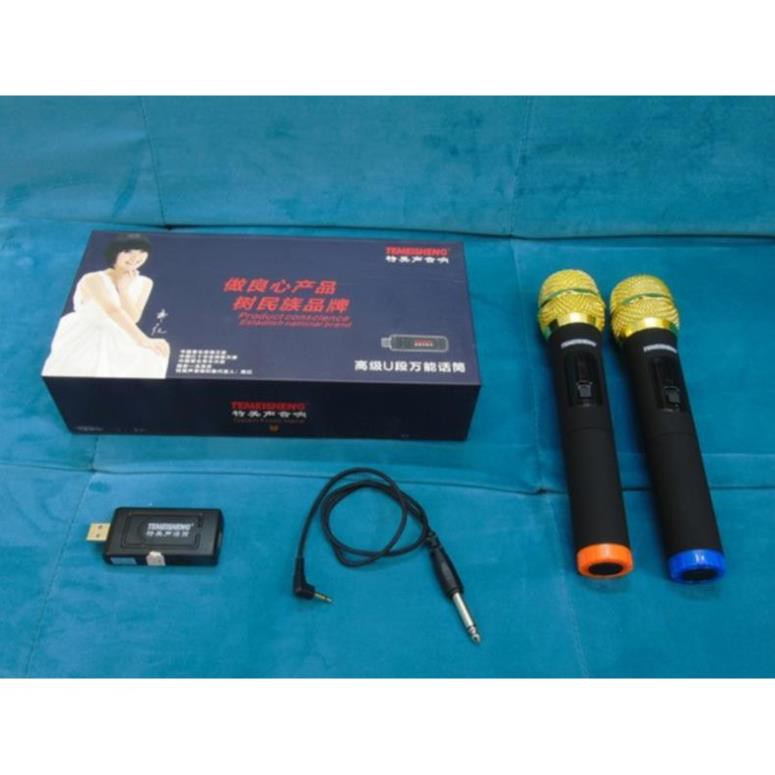 Bộ 2 micro không dây Temeisheng W-48