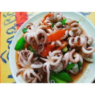 Bạch tuộc sữa