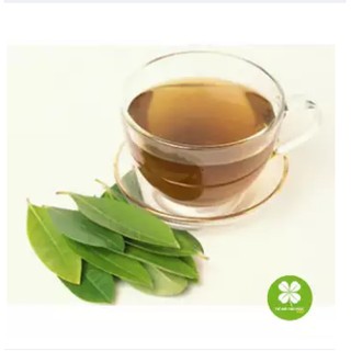 Dây thìa canh rừng ổn định đường huyết, tốt cho người bệnh tiểu đường NDX002