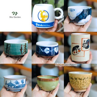 Ly gốm Nhật trồng xương rồng, sen đá - GSN