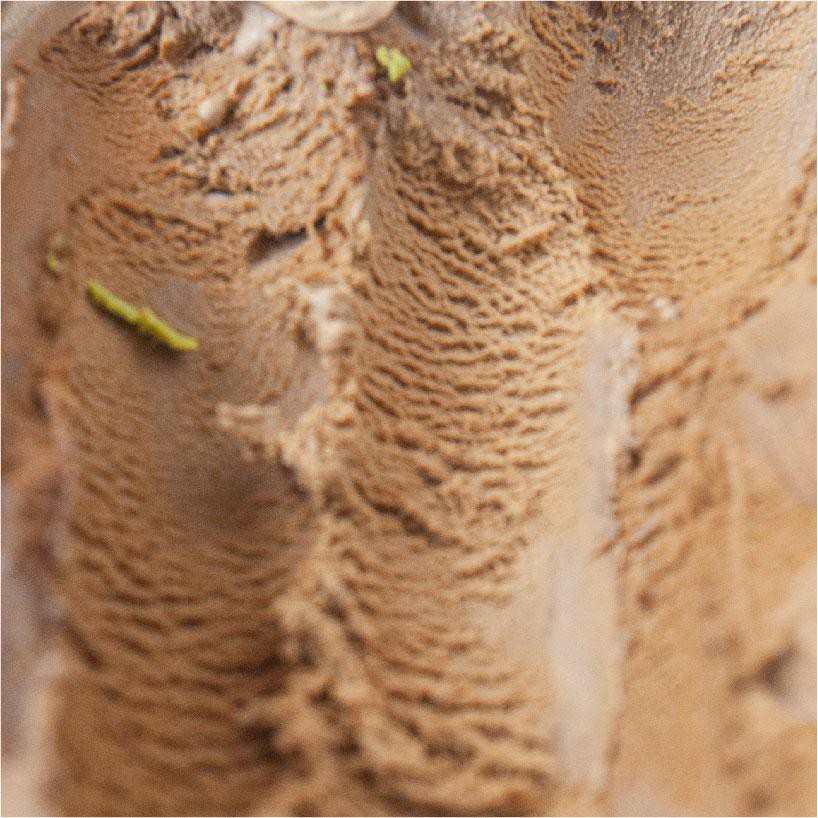 PREMIUM. Kyoto Houjicha