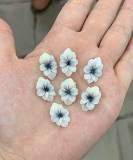 Hoa🌺bột nail