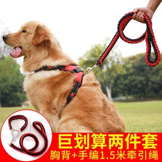 Dây xích thú cưng Dây xích cho thú cưng, dây xích cho chó, dây xích cho chó tha mồi vàng, dây nịt ngực cho chó vừa và lớ