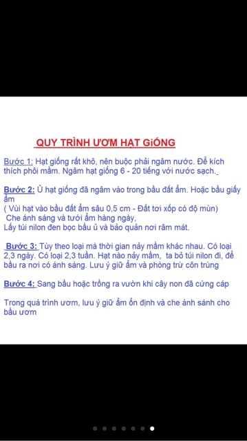 Hạt giống hoa thược dược tổ ong