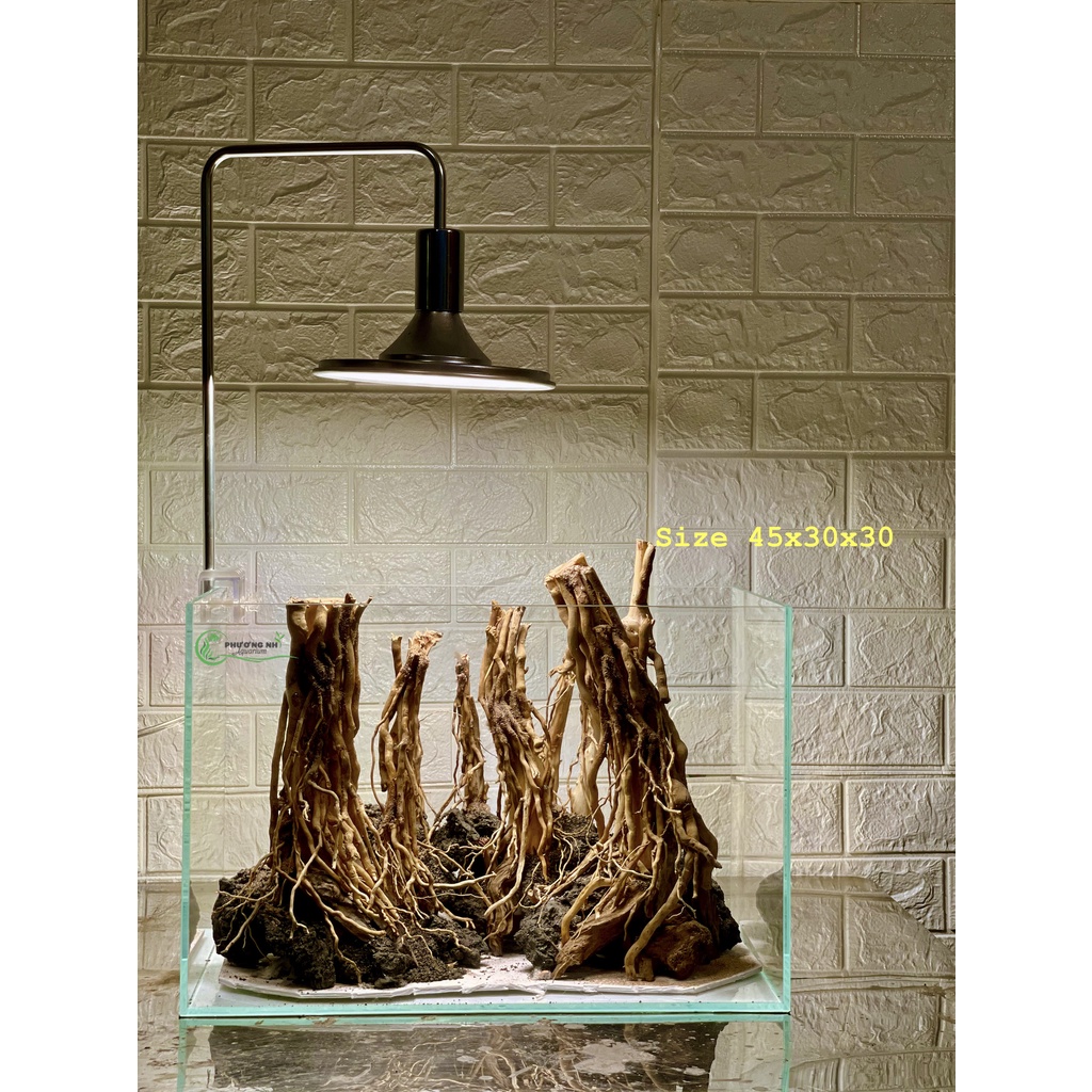 Rễ rừng thuỷ sinh 100g