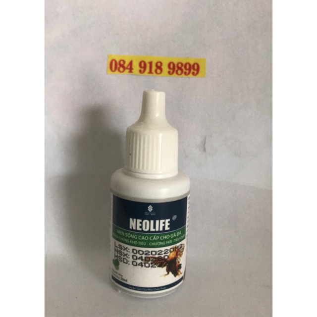 NEOLIFE 20ML Men sống cao cấp gà đá