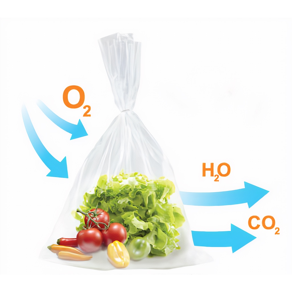 COMBO 50 Túi GreenMAP bảo quản rau củ quả tươi lâu hơn từ 15-20 ngày