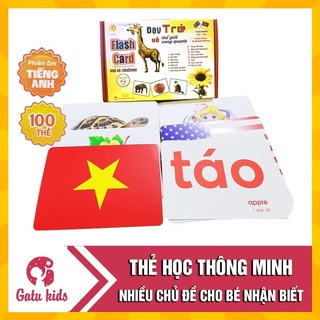 Bộ thẻ học THẾ GIỚI XUNG QUANH khổ A5 (15x21cm) LOẠI TO cho bé- 100 thẻ