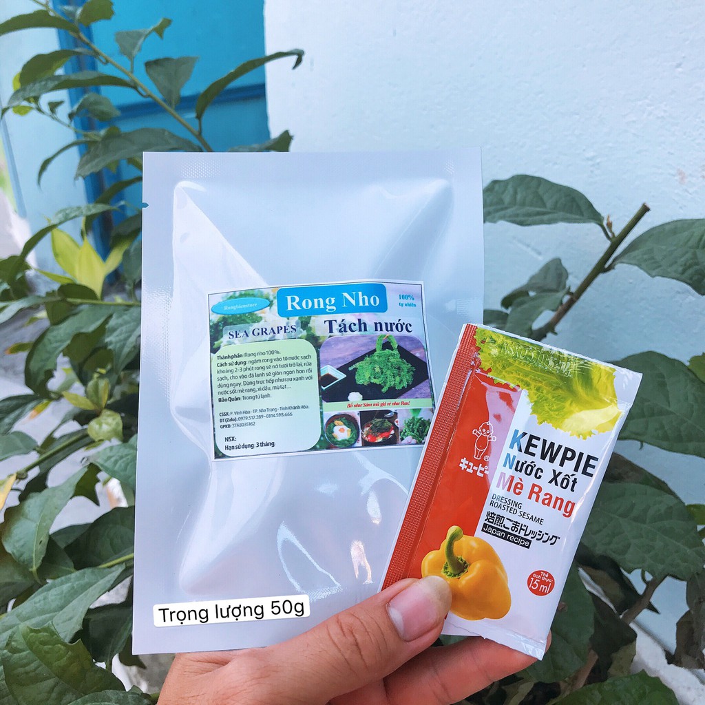 Tặng xốt mè + Rong Nho Tách Nước JAVIE gói 50gr | BigBuy360 - bigbuy360.vn