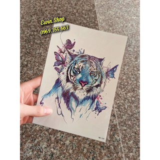 Hình xăm bắp 15x21cm