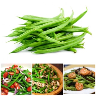 Hạt Giống Đậu Cove Leo