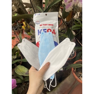 Thùng 300 chiếc Khẩu Trang An Phát