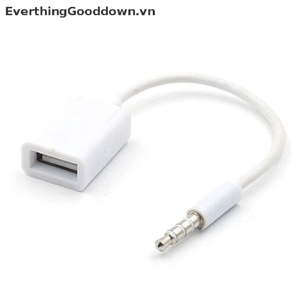 Everthingood Dây Cáp Chuyển Đổi Âm Thanh Từ Giắc Cắm 3.5mm Sang Cổng Cắm usb 2.0 mp3 Dành Cho Ô Tô