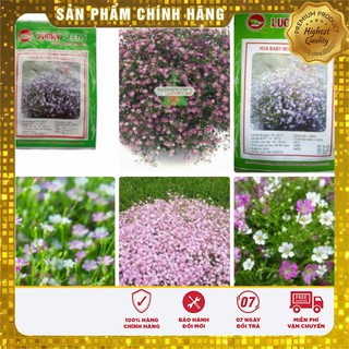 Hạt Giống Hoa Baby mix 50 hạt