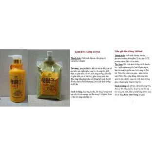 Cặp dầu gội - xả tinh chất Gừng