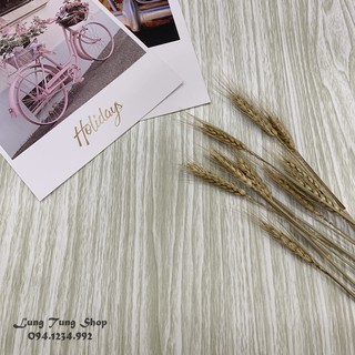 Phông nền giấy dán tường giả gỗ màu trắng khổ 1,2m - thảm chụp hình ảnh sản phẩm